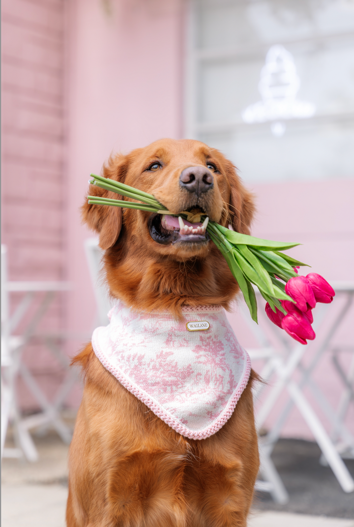 The Mother's Day Bandana