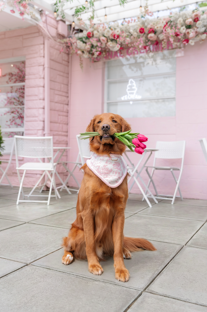 The Mother's Day Bandana