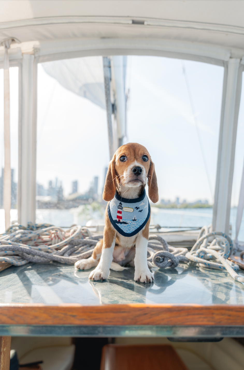 The Nantucket Bandana