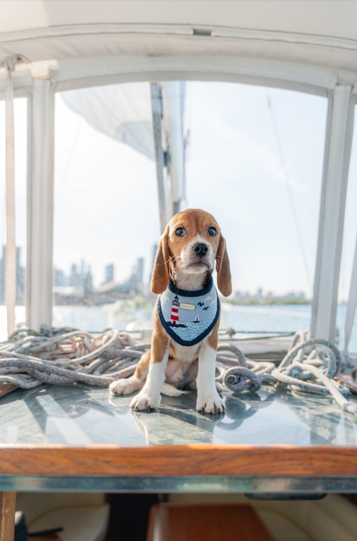 The Nantucket Bandana