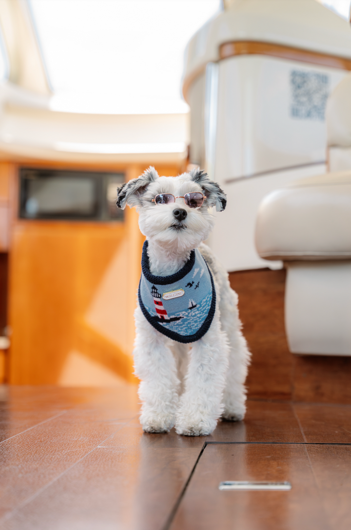 The Nantucket Bandana