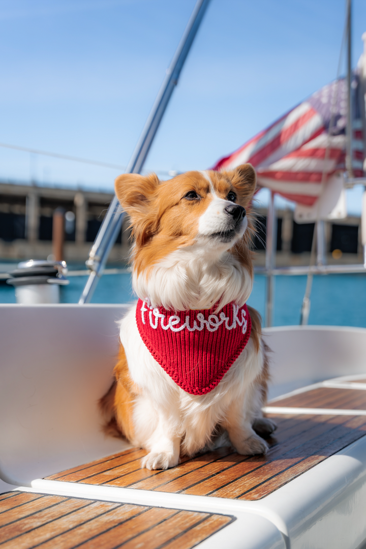 The Liberty Custom Yarn Embroidered Bandana