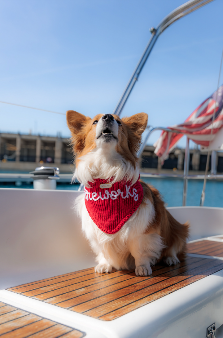 The Liberty Custom Yarn Embroidered Bandana