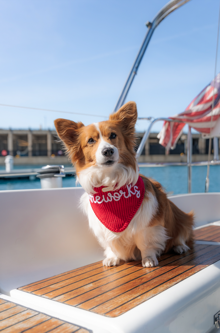The Liberty Custom Yarn Embroidered Bandana