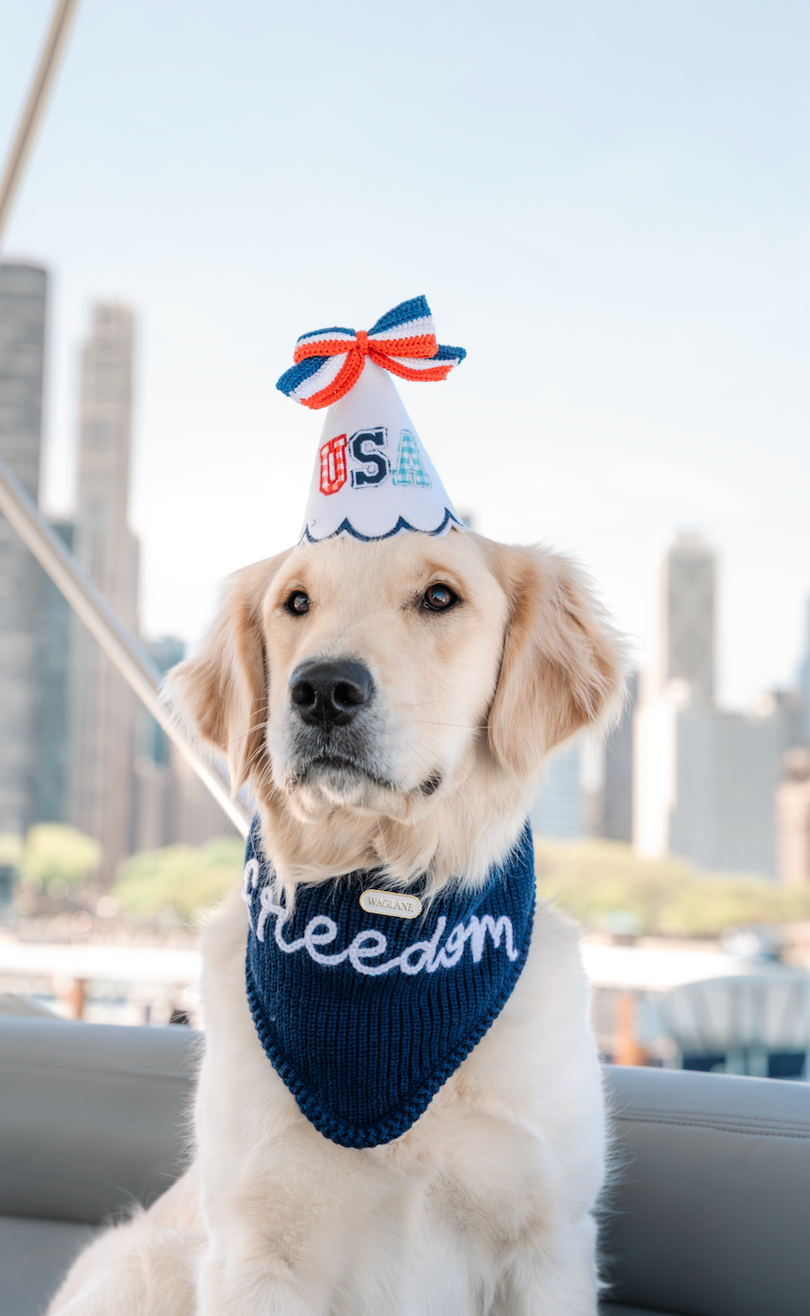 'USA" Party Hat 🇺🇸