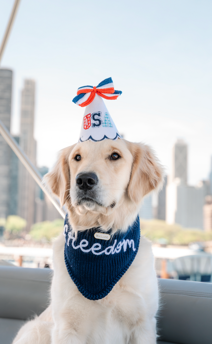 'USA" Party Hat 🇺🇸