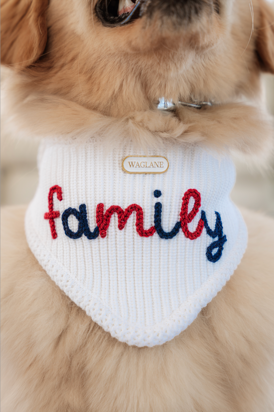 The Liberty Custom Yarn Embroidered Bandana