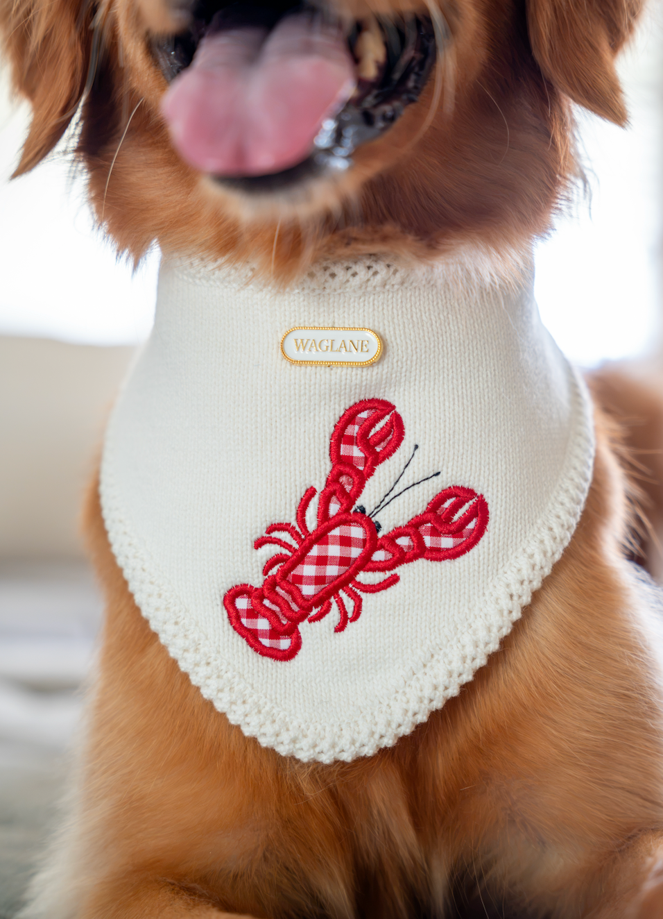 On Lobster Time
