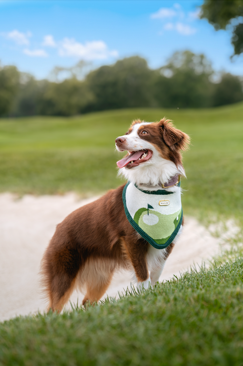The Fairway