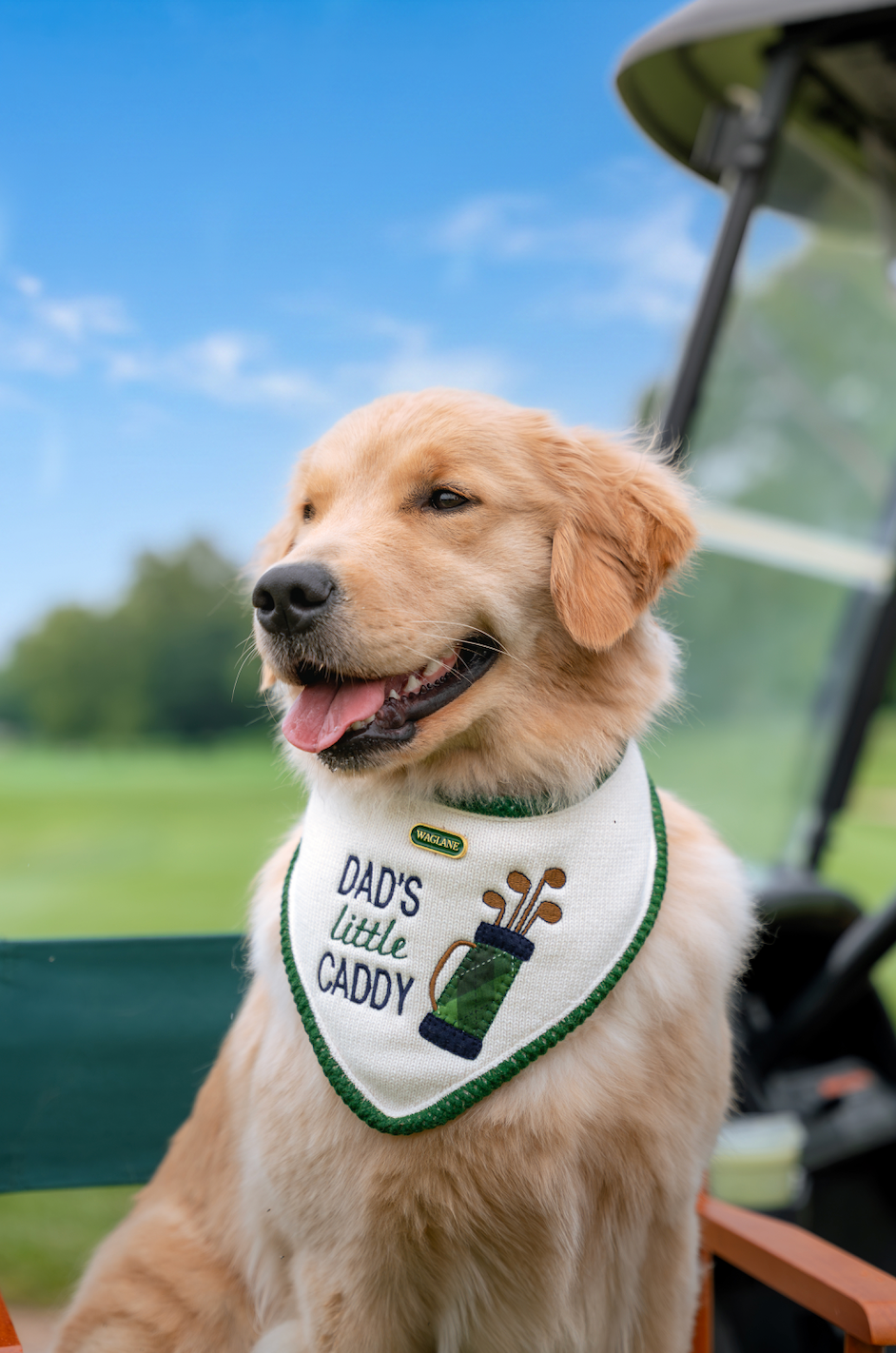 The Caddie