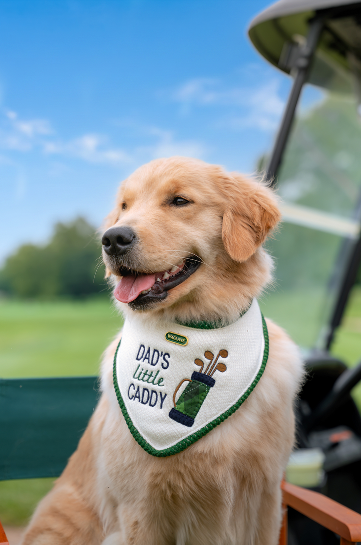 The Caddie