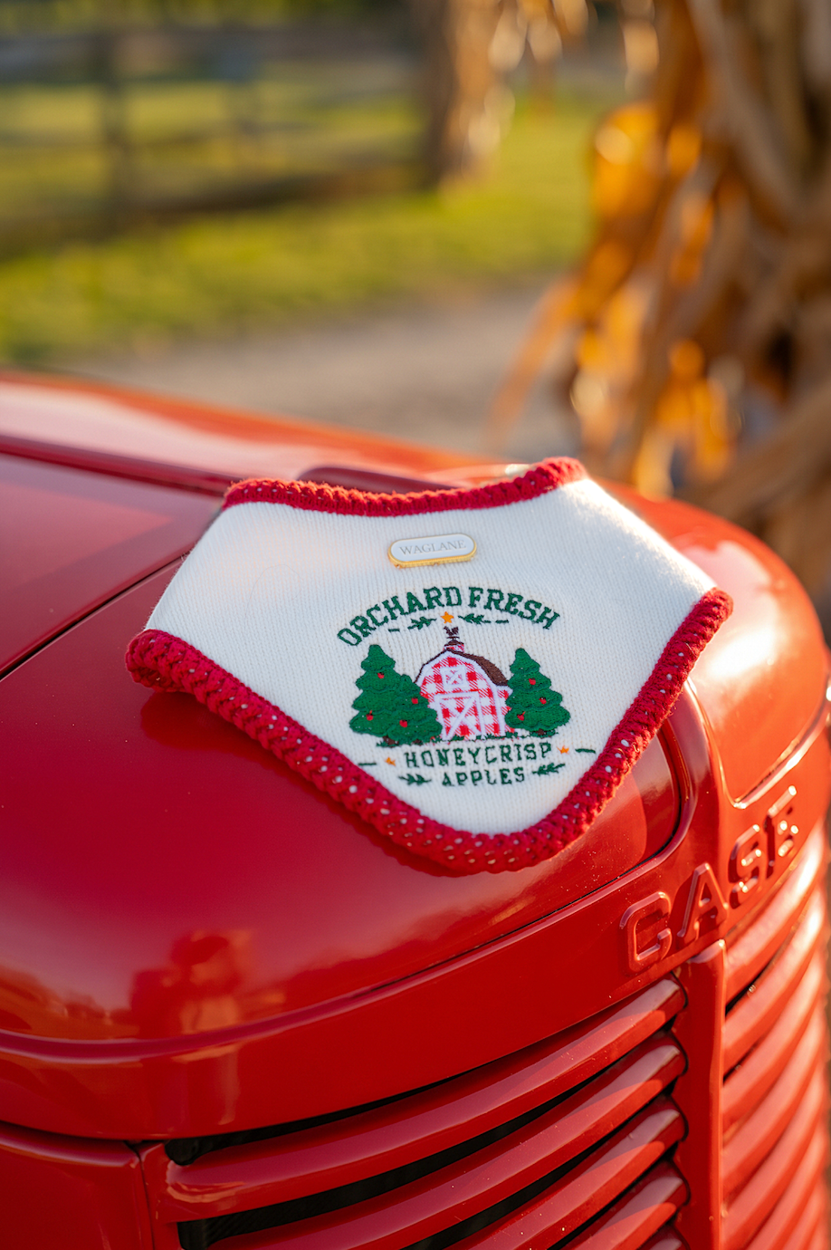 The Orchard Bandana