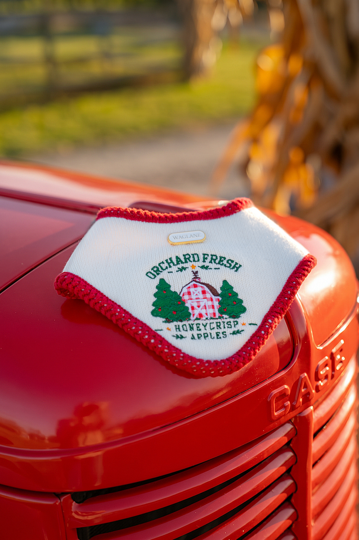 The Orchard Bandana