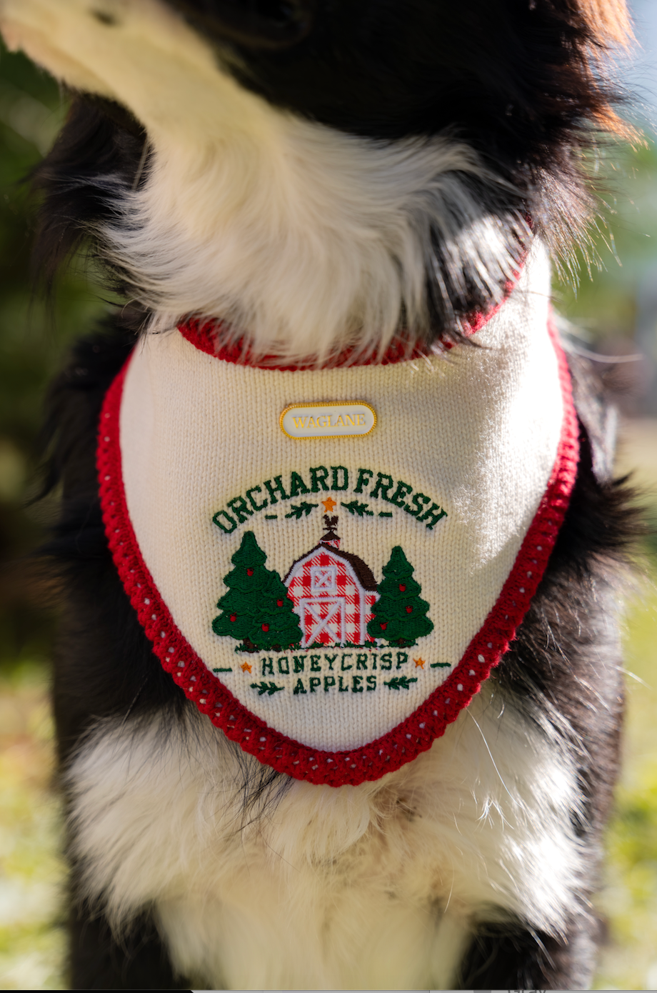 The Orchard Bandana
