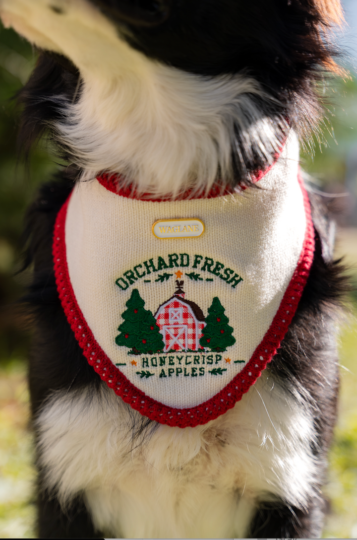 The Orchard Bandana