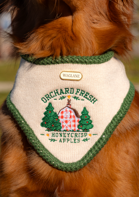 The Orchard Bandana