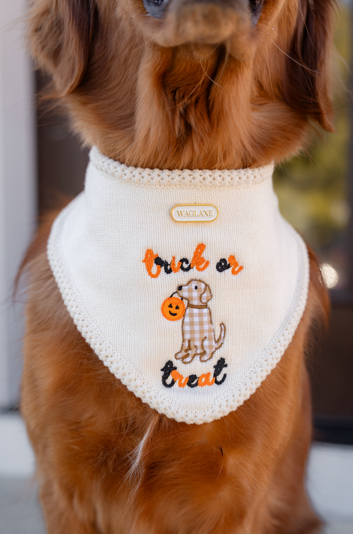 The Trick or Treat