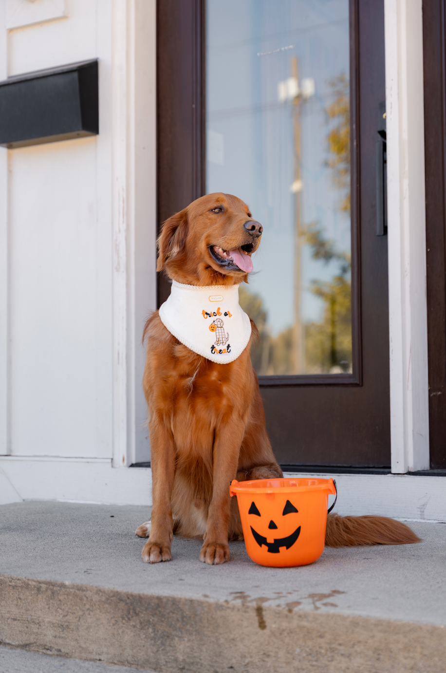 The Trick or Treat