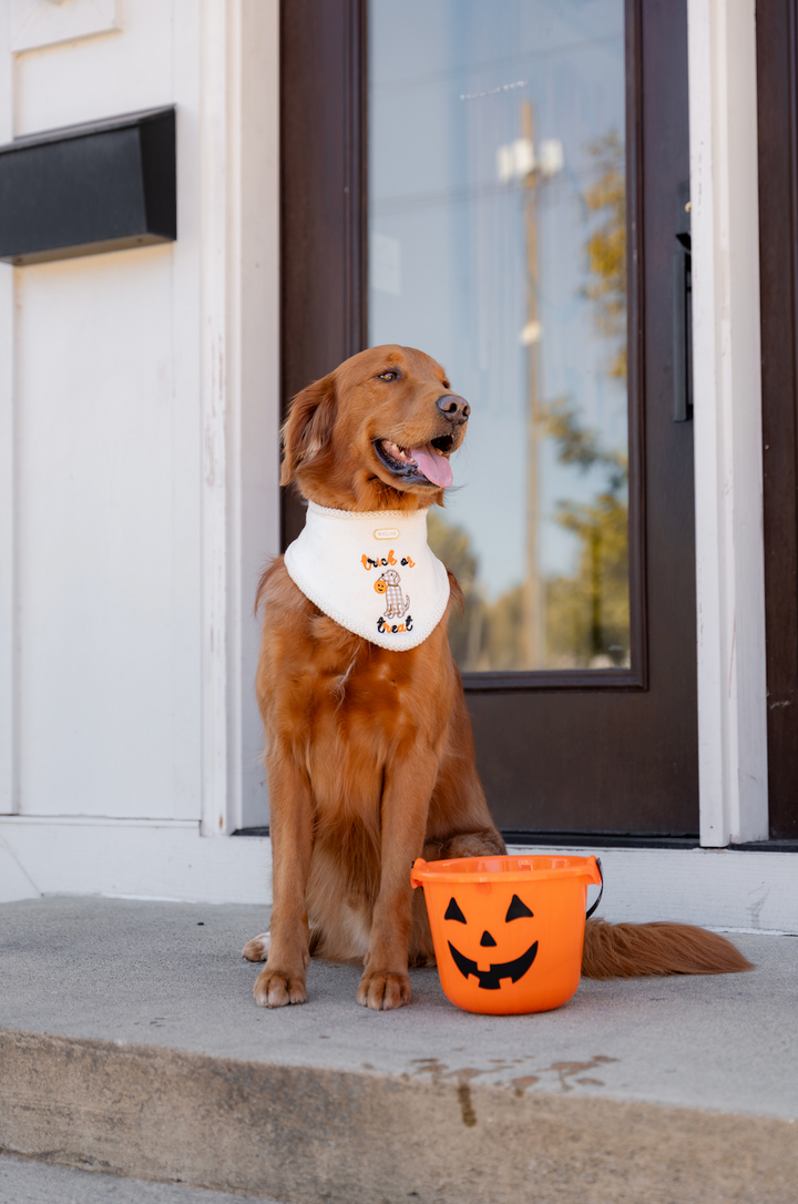 The Trick or Treat