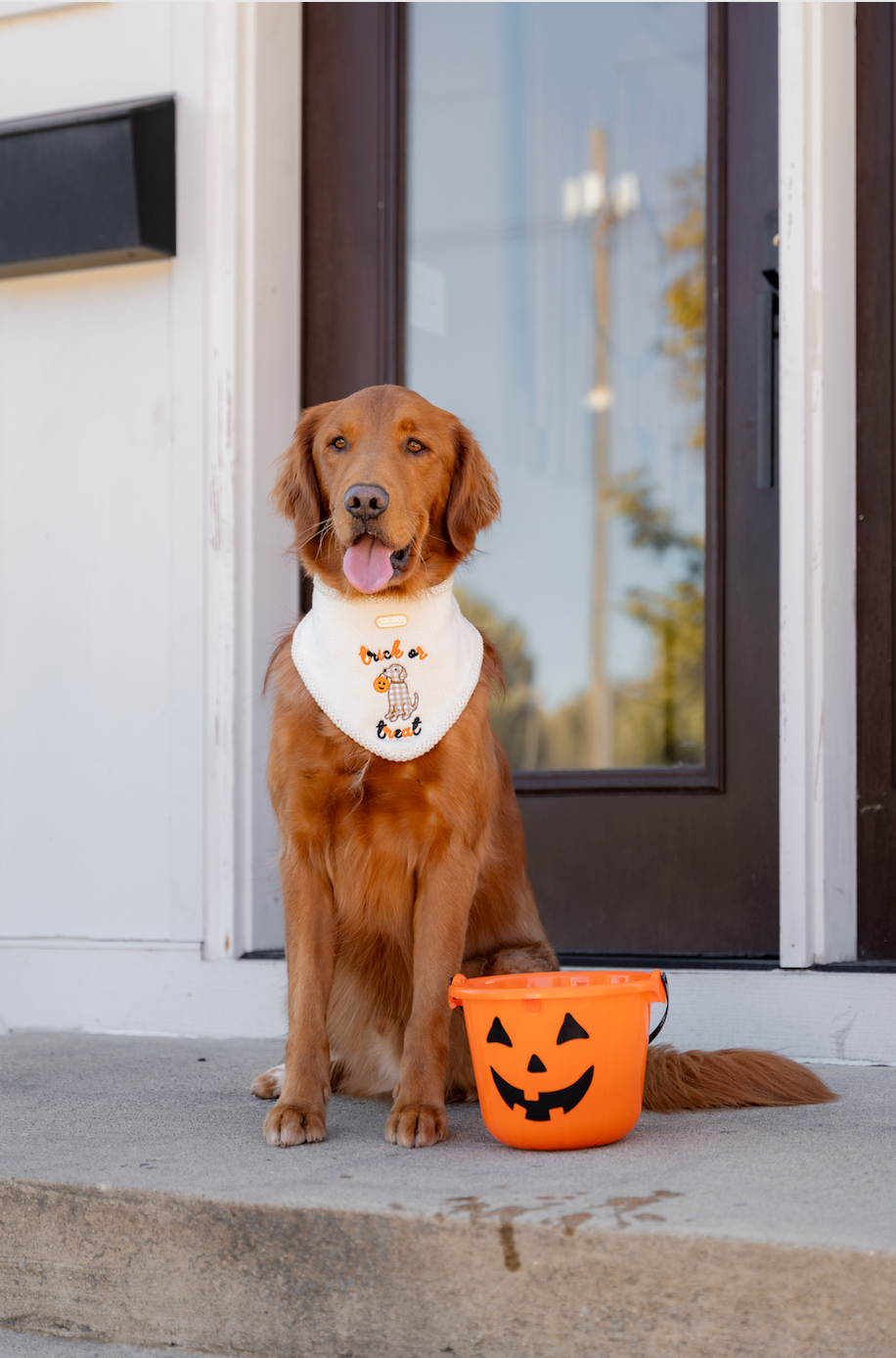 The Trick or Treat