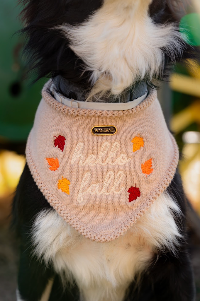 Hello Fall Bandana