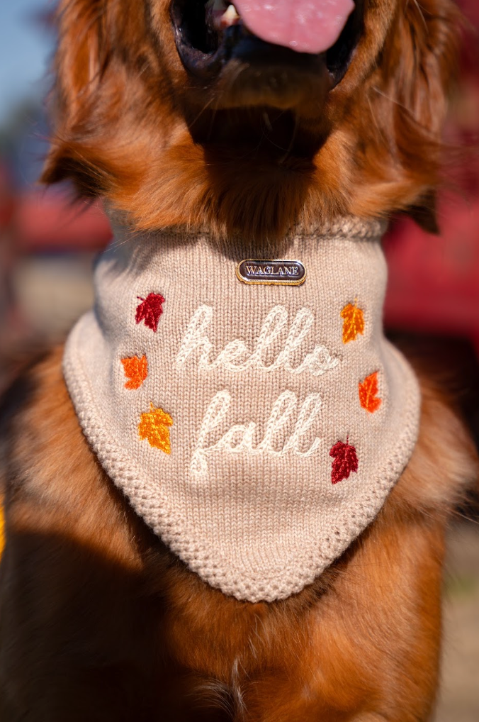 Hello Fall Bandana