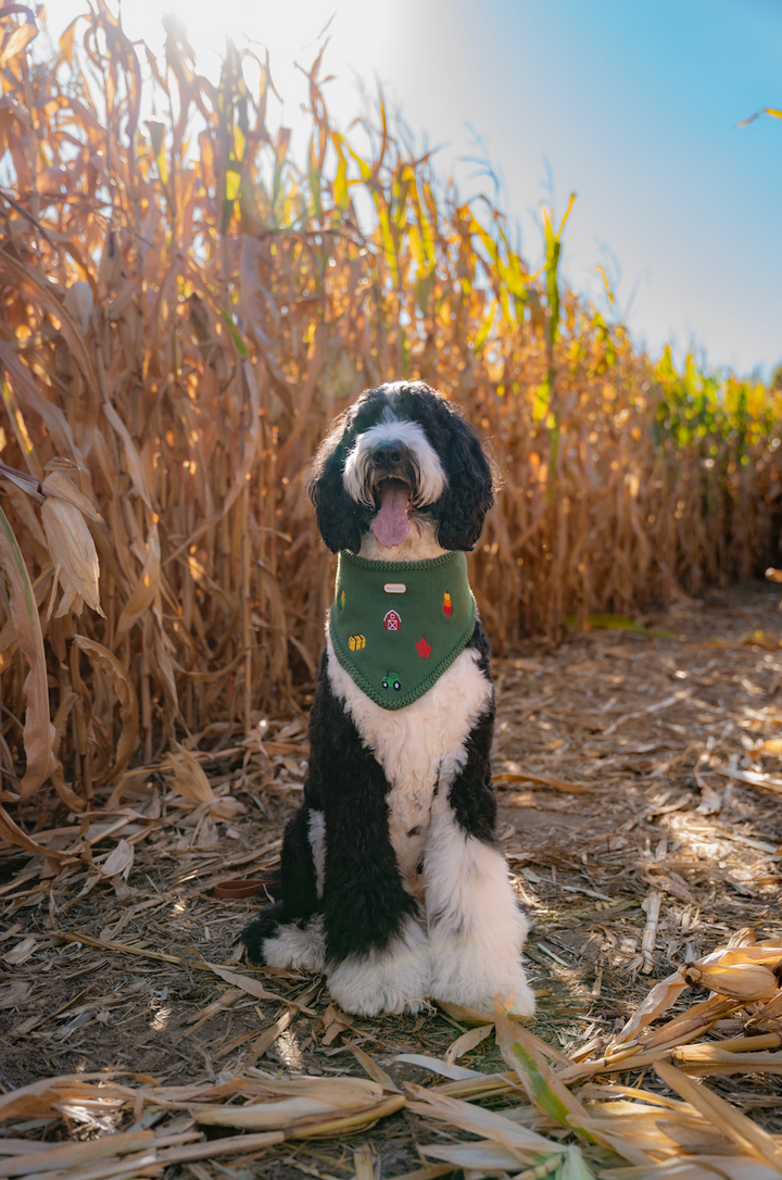 The Farmstead Bandana