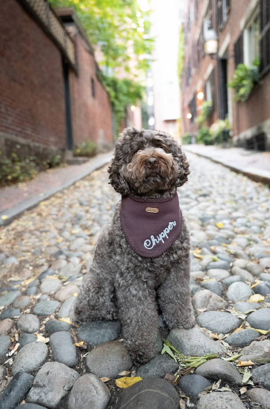 The Fall Custom Bandana