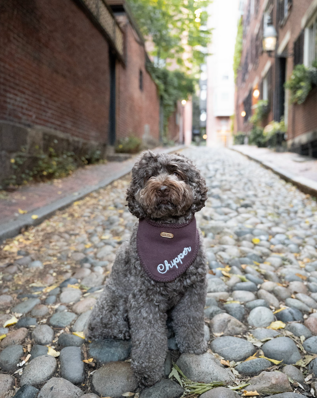 The Fall Custom Bandana