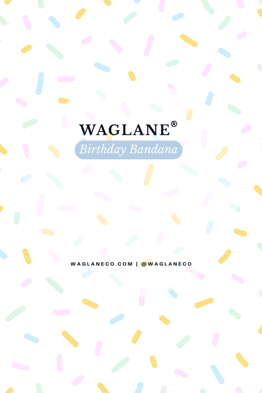 Birthday Bandana