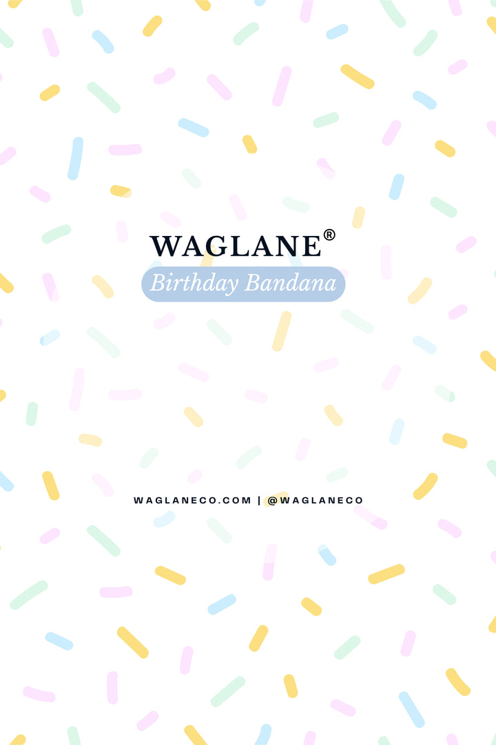 Birthday Bandana
