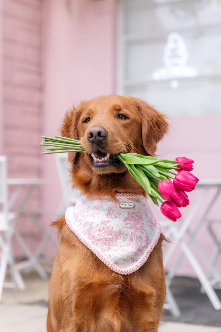 The Mother's Day Bandana