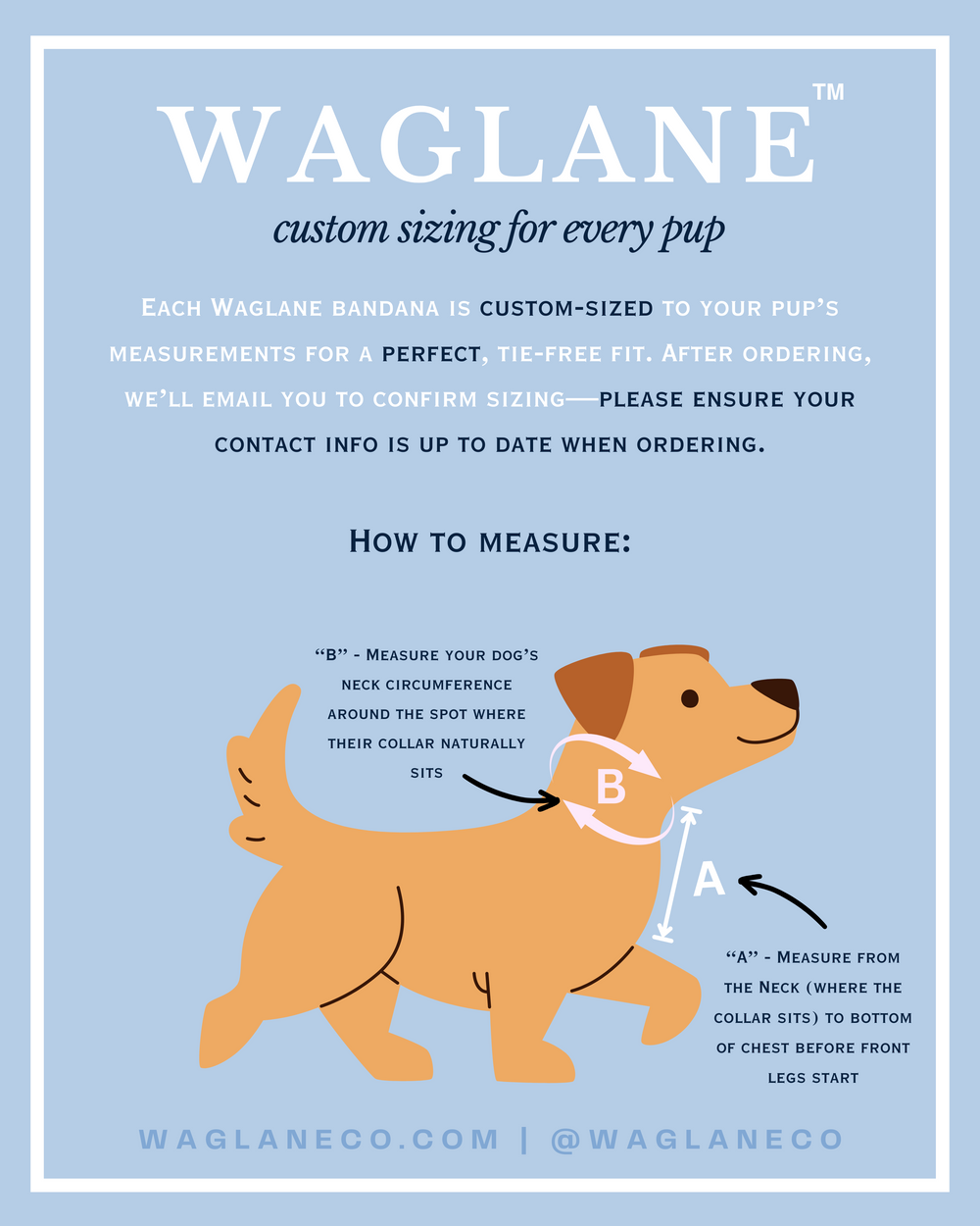 Waglane custom dog bandana sizing guide – illustration showing how to measure your dog’s neck circumference (B) and chest length (A) for a perfect, tie-free fit. Includes instructions to measure where the collar naturally sits and from neck to chest. Waglane logo, tagline “custom sizing for every pup,” and website details included.