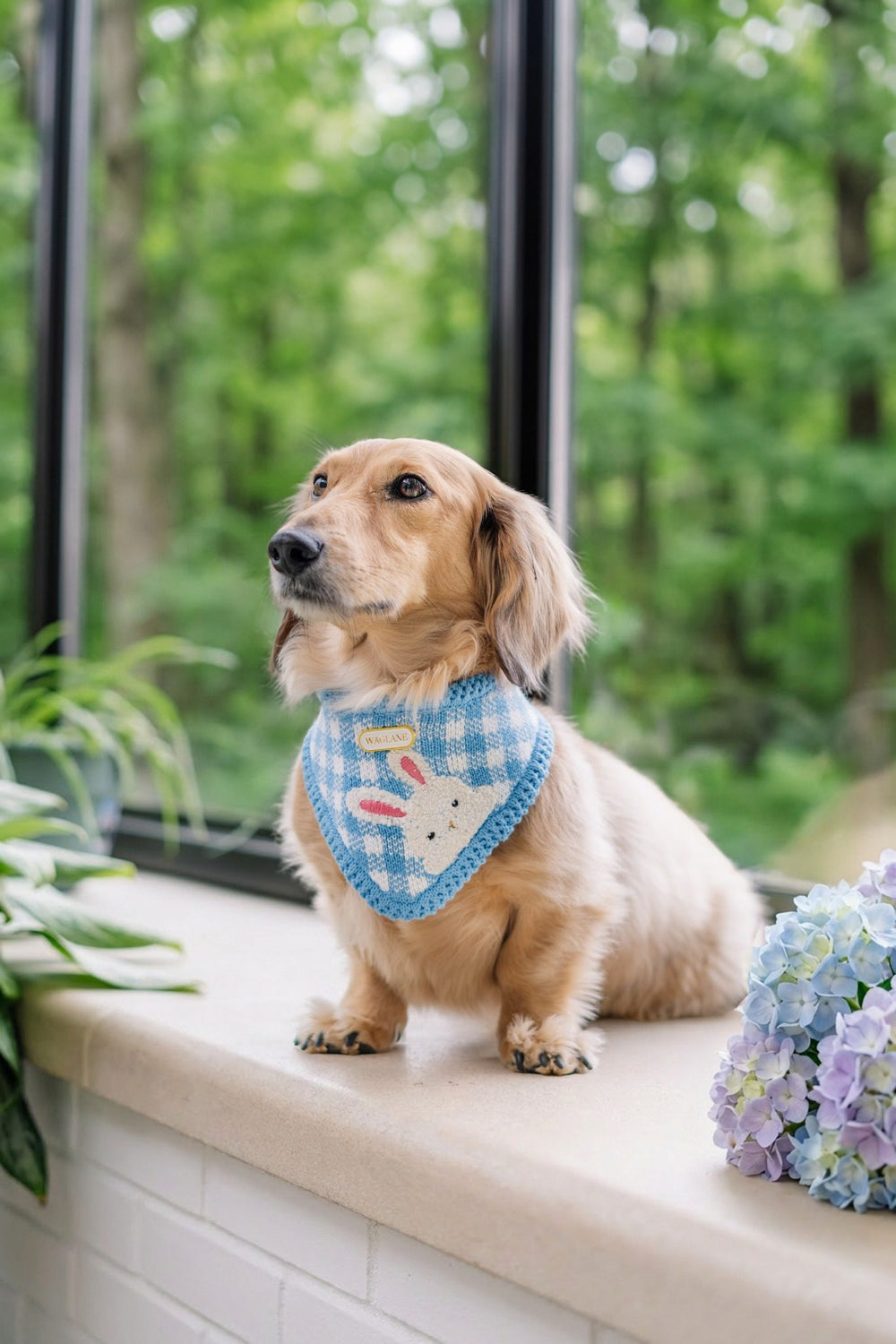 Dog wearing a blue checkered bandana with a bunny design, sitting on a windowsill with a forest view.